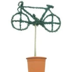 Bicycle (Ligustrum Delavayanum)
