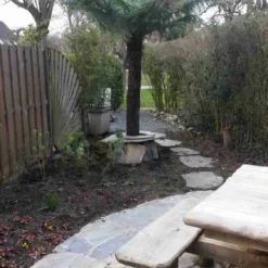 Boomvaren (Dicksonia Antarctica) -Groen Dome Verkoopwinkel dicksonia antartica